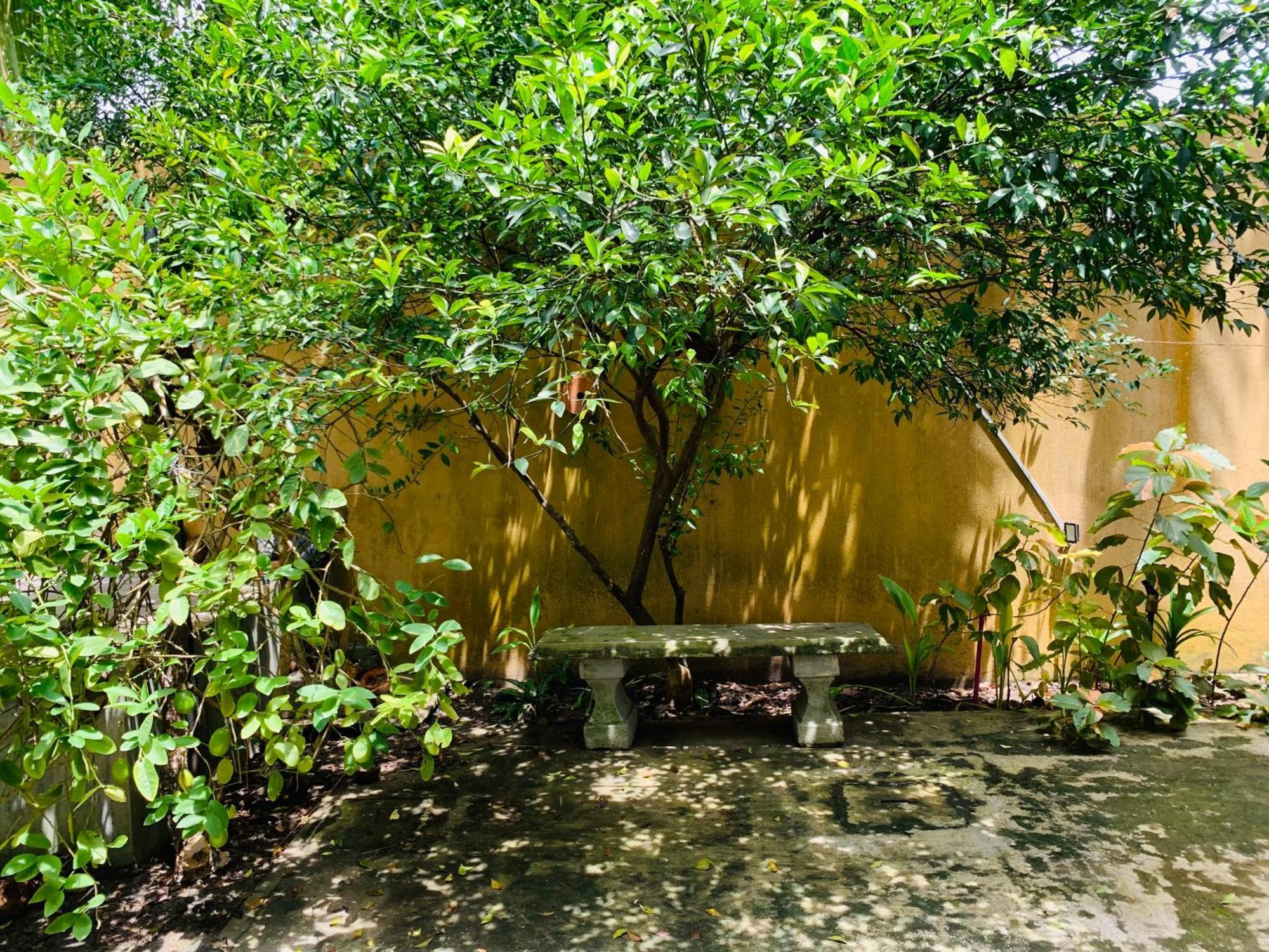 The Hostel Mirissa Zewnętrze zdjęcie